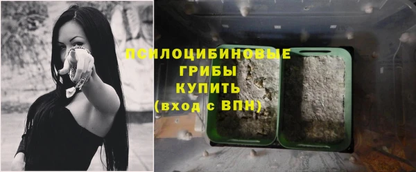 ешки Арсеньев