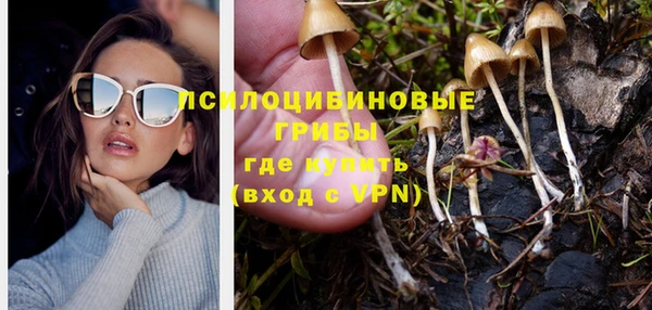 дмт Армянск