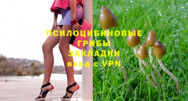 ешки Арсеньев