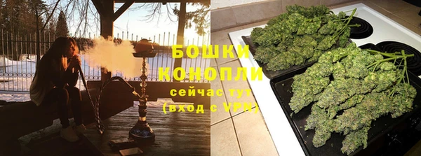 ешки Арсеньев