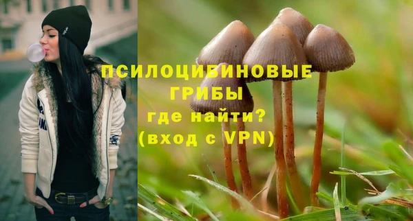 ешки Арсеньев