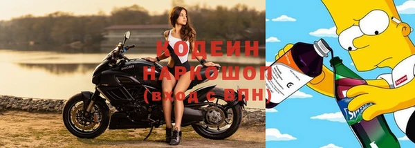 ешки Арсеньев