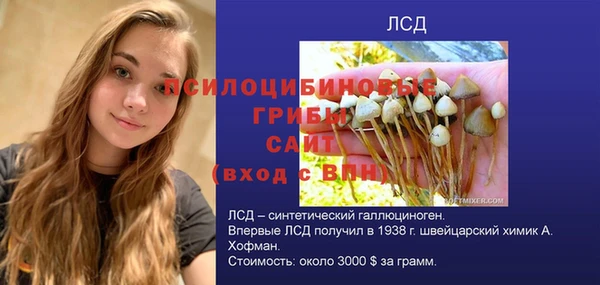 ешки Арсеньев